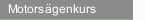 Motorsägenkurs